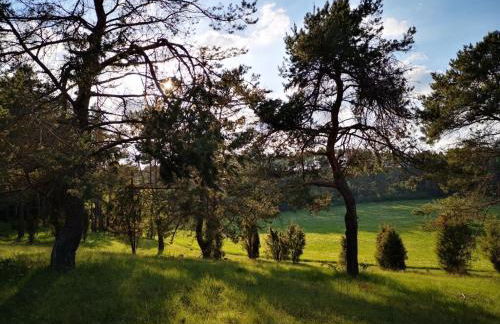 Schmahl Comfortable holiday residence - Foto 31