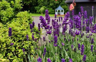 The Nook located in a beautiful garden setting with parking - Foto 23