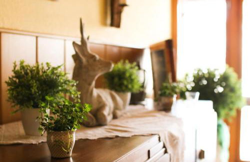 XXL-Ferienwohnung Blumenwiese - Foto 12