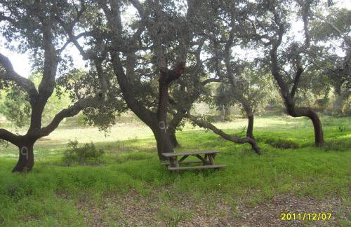 MONTE DAS AREIAS CASA DE CAMPO/PASSADIÇO/PATEO/RAMPA - Photo 12