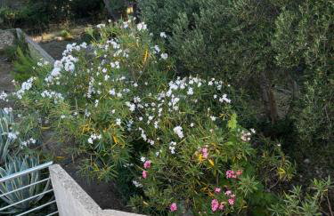 Do 8 osoba 3 sobe 2 terase - Foto 25