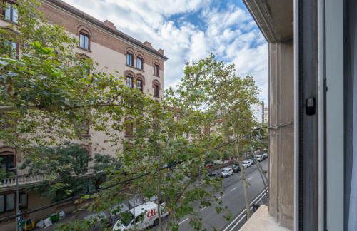 BeBarceloner Eixample Apartments- 4 bedrooms - Photo 30