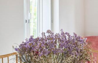 Casa do Moleiro - Foto 64