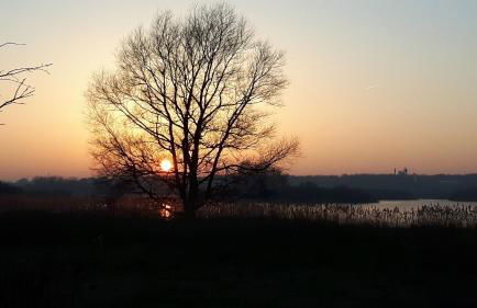 MOIN, MOIN & AHOI! - Foto 53