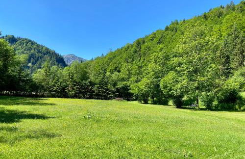 Ferienwohnungen Zipflwirt - Foto 37