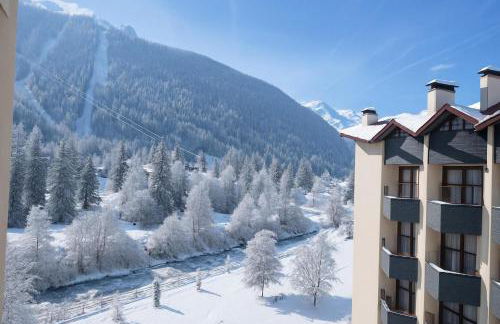 Résidence Grand Roc - Campanules 308 - Happy Rentals - Foto 15