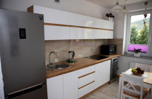 Mieszkanie Węgierska Górka - Foto 41