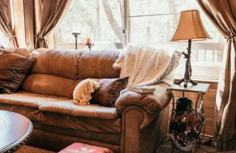 Cozy Sequoia Forest Cabin near Lake Isabella - Foto 31