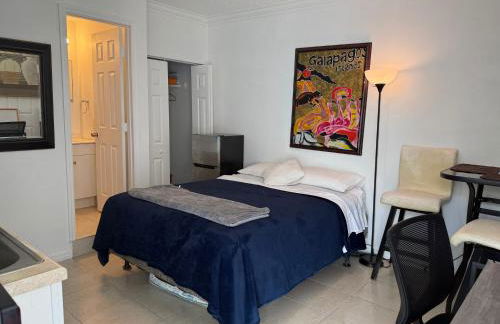 My Garden in Miami Florida - Photo 16