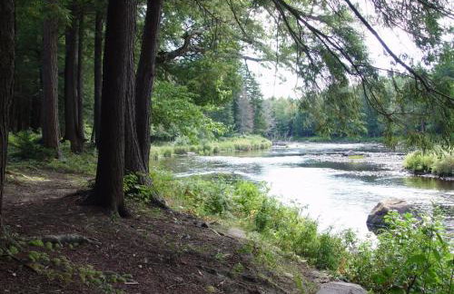 Riverside Cabin - Foto 5