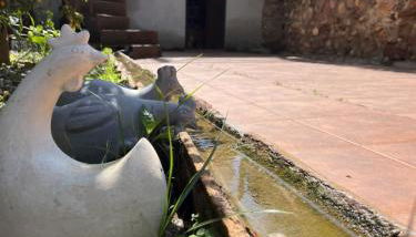 El Secanet - Foto 5, Garden