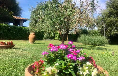 Agriturismo TERRANERA - Foto 43