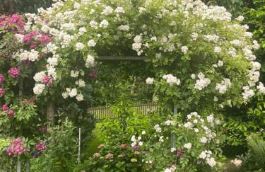 kleine Flora - Apartment - Foto 4