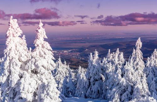 Ferienwohnung Relax - Foto 45