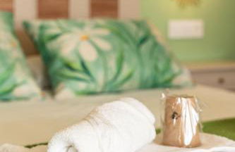 A Casa da Carminha, Ribeira Sacra - Foto 20