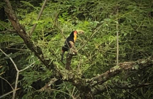 Casa de Campo & Home Office - Itapecerica da Serra , perto do Embu das Artes - Photo 28