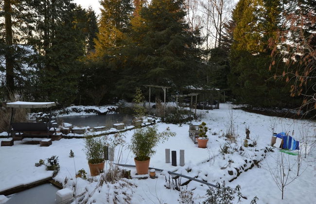 Wunderschone Ferienwohnung im Burgenland - Photo 22