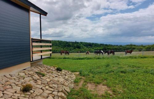 Domki na Łące - Foto 32