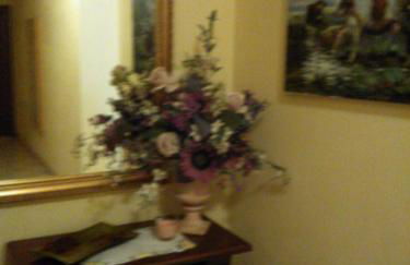 Locanda-Trattoria Al Rio - Foto 34