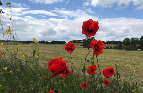 Ferienwohnung in Schmargendorf bei Angermünde - Foto 17