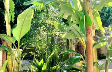 Olive apartment - Foto 28