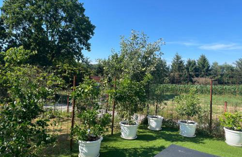 Kuća za odmor Mariola - Foto 15