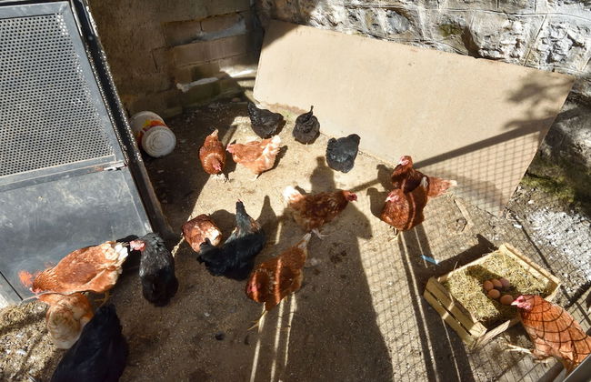 Agriturismo Il Colle - Foto 42