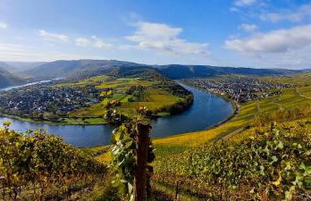 WeinGut Hermes - Foto 59