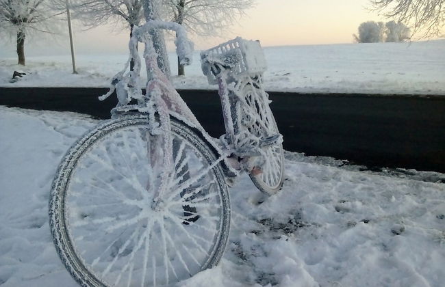 Cozy Apartment in Rerik With Sea Near - Foto 80