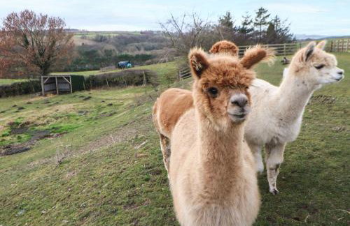 High Church Hill - Photo 56