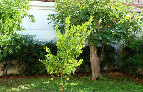 Urban Nest Suite - Foto 34