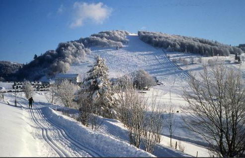 Gîte de famille dans les Vosges - Foto 33
