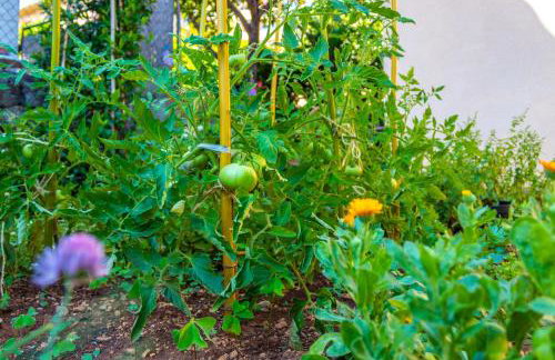 Little garden house - Foto 30