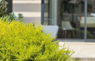 Location villa entre lac et océan avec son spa de nage - Foto 10