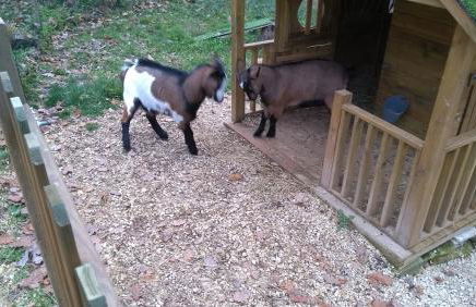 LA VILLA 6 DES HAUTS de SARLAT PISCINE ET JACUZZI - Foto 15