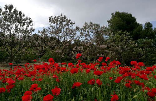 Finca La Celada - Foto 27