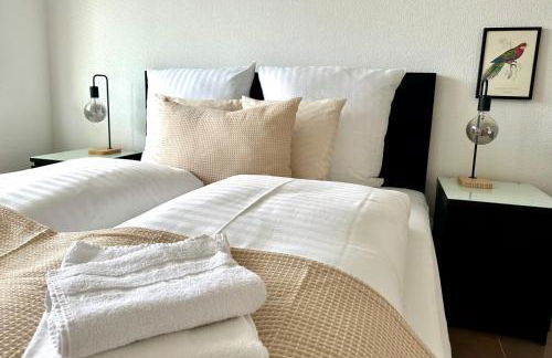 BONNYSTAY Rheinfelden - 6 Personen - Küche - Parkplatz - Terrasse - Foto 3