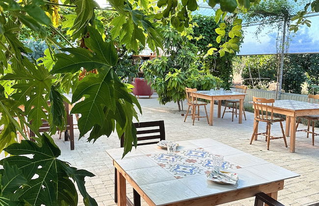 AgriBarocco - Photo 56