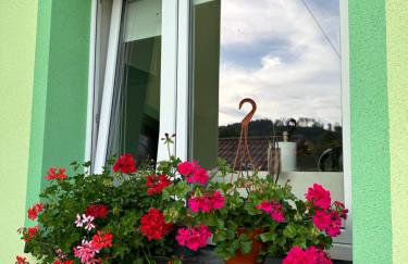 Mr. Sowa Sokolec - Foto 41