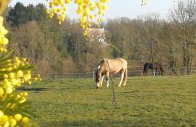 Les Crins au Bord du Lac - Foto 22