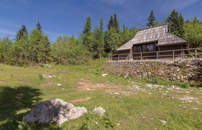 Chalet Pehta - Velika Planina - Foto 31