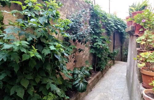 Casa da Judiaria Velha AP - Foto 10