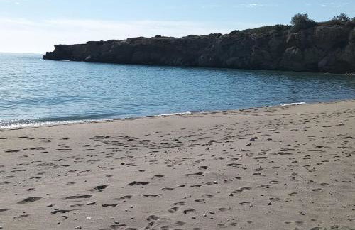 Gold Sea Nest - Foto 3