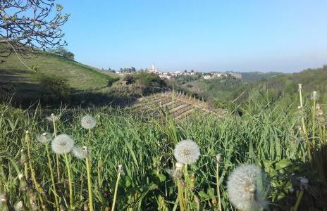 Cà D' Rot - Casa Ratti - Foto 26