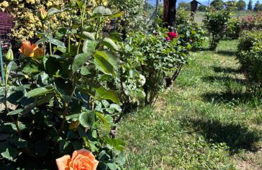 Il giardino delle rose - Foto 25