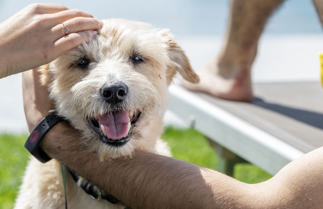 Agriturismo Ca' del Lago - Foto 47