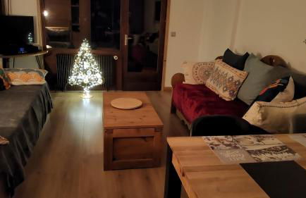 Le Soladret - 2 pièces 4 étoiles - Vue extraordinaire sur les Aravis - Foto 42