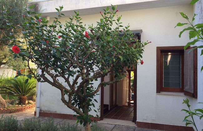 Golfo degli Ulivi Relax - Photo 1