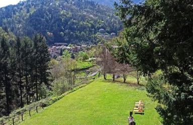 Il Bosco di Campo Marzano Nature Retreats - Foto 24