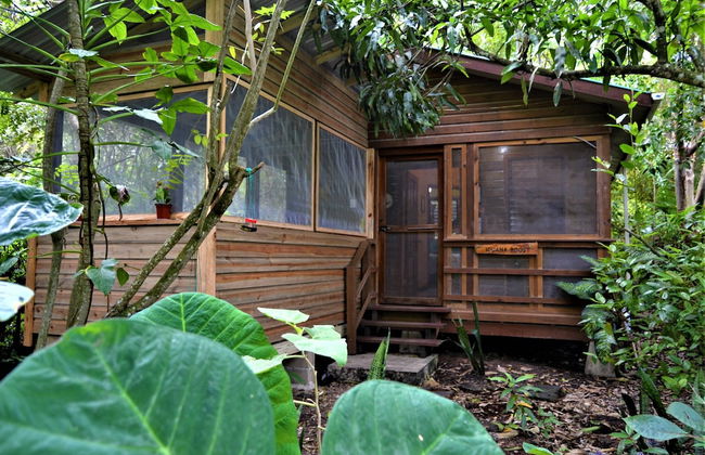 Licensed 2 Bedroom Cabin Close to San Ignacio, Local Dining, and Adventure Tours - Foto 25